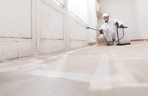 24/7 Emergency Mold Removal experts in Castleton, VA